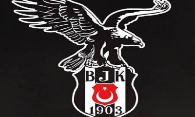 “Bir Büyük  Orman, Bir Hazan Beşiktaş”