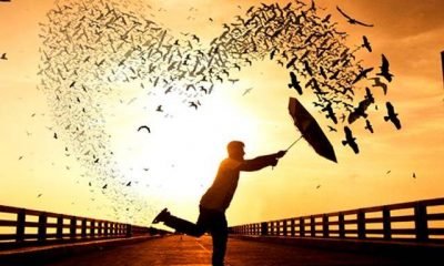 Bindim bir alamete gidiyorum…