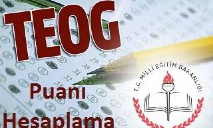 Teog Puanı Hesaplama