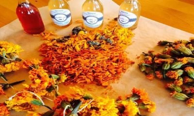 Derin gevşeme ve huzurun çiçekleri