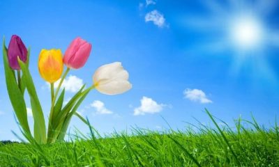 Cemre nedir? Cemre ne zaman düşecek?