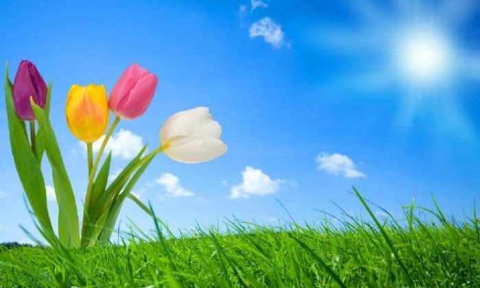 Cemre nedir? Cemre ne zaman düşecek?