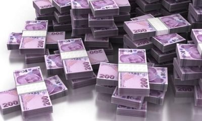 KGF ve kredi garanti kuruluşlarına Hazine desteği