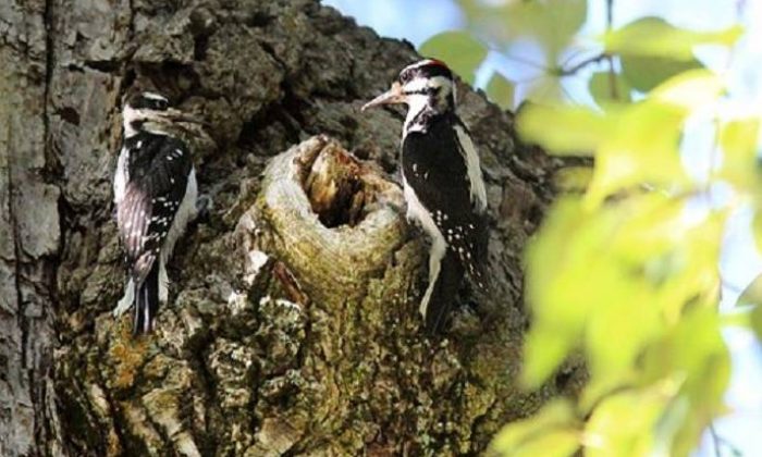 Kadın için Erkek kampanyası!