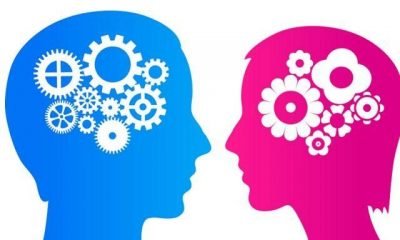 Hayatın anlam arayışı