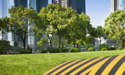 Güvenlik otomasyonunda merdiven altı çok riskli