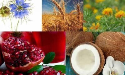 Bitki ve meyve yağlarının sağlığa mucizevi etkileri