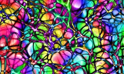 Holistik tıp nedir, nasıl faydalanılır?