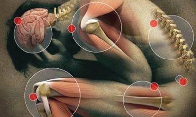 Quantum biofeedback tıbbi sistemi ve uygulaması