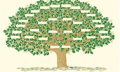 Soy ağacı artık E-Devlet’ten çıkarılabiliyor