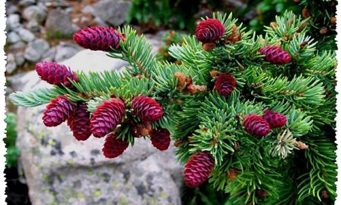 Bel ağrısı, güven ve kabullenememenin işareti…