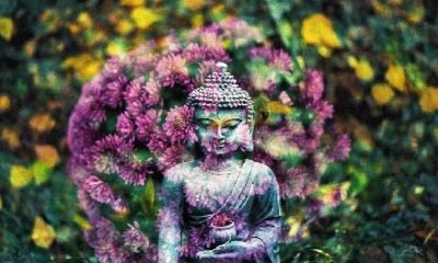 Her çakraya bir çiçek!