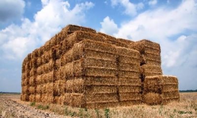 Ürün ihtisas borsası bu ay işleme açılıyor