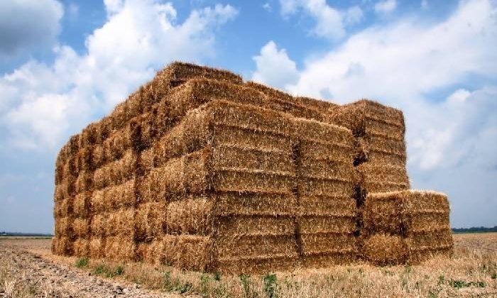 Ürün ihtisas borsası bu ay işleme açılıyor