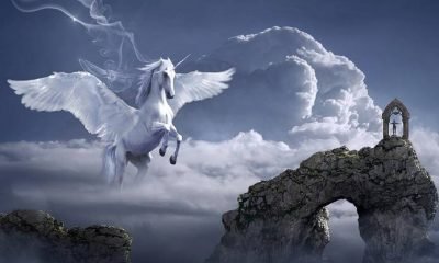 Pegasus’un kalbimdeki yeri bir başkadır!