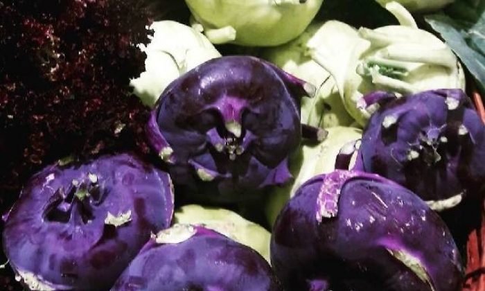 Alabaş tüketin bol bol – Prof. Dr. İbrahim Uslu