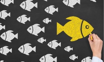 Paradigma metodu mu kişisel gelişim mi