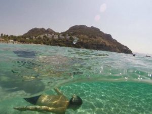 k2 items src c8d7ea8af6aec31c4a276aede1d6de74