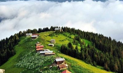 Yayla işgalcileri de imar barışı kuyruğunda