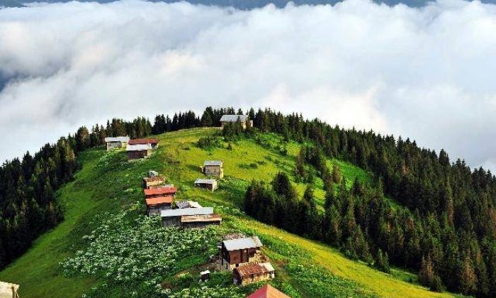 Yayla işgalcileri de imar barışı kuyruğunda