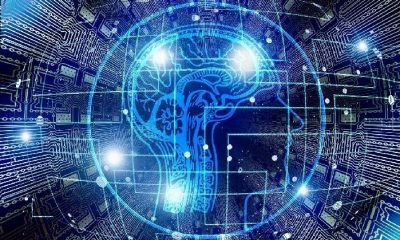 Dijital Çağda Bireyler ve Şirketler İçin Yeni Bir Dinamik: DQ