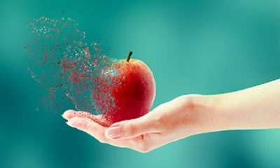 Organik gıda kandırmacası ve soruları – Serdar Kuru