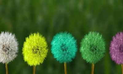 Mindfulness ne işe yarar?