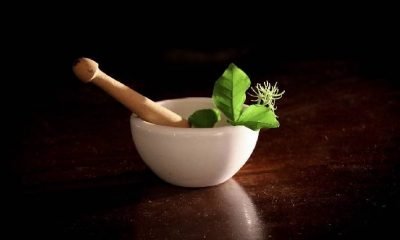 Bitkisel ilaçlara dair çok önemli gelişme!