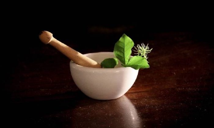 Bitkisel ilaçlara dair çok önemli gelişme!