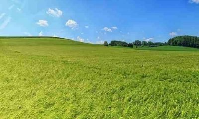 Arazi yatırımı yapmak için 5 neden