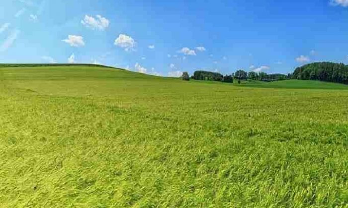 Arazi yatırımı yapmak için 5 neden