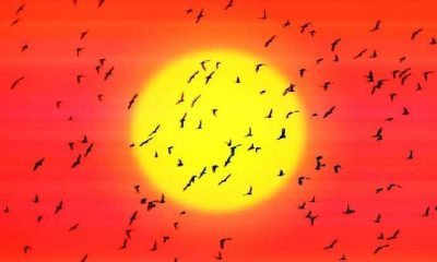 Herkes göç etmek istiyor