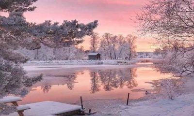 Algısal beceri nedir?