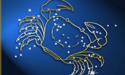 Astroloji: 2019 yükselen YENGEÇ burcu!