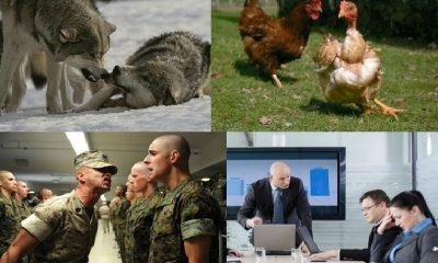 Hoşgörü her zaman iyi midir?