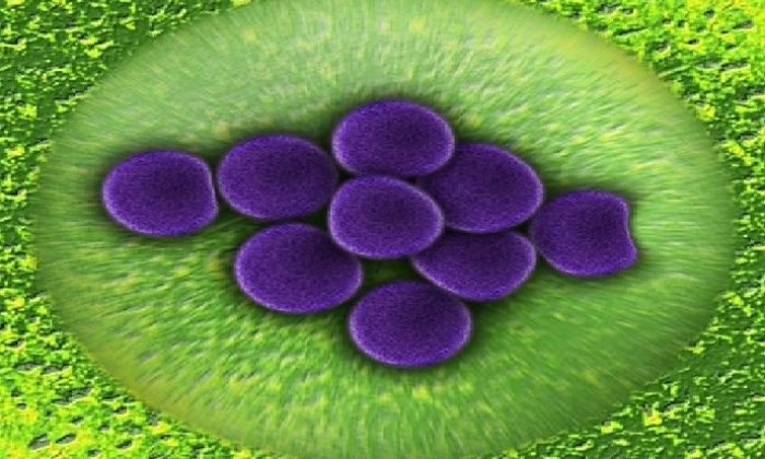 Acil ihtiyaç: Kurumlar ve bireyler için dirençlilik!