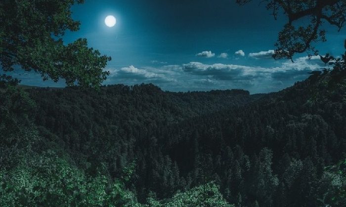 19 Mayıs akrep burcunda dolunay!