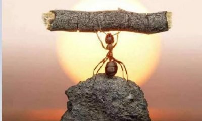 Kişisel gelişim bir kaçış değildir