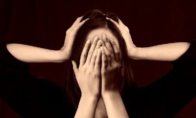 İGNORAMUS: Ben cahilim! Tutkuyla bilgiye bağlanmak!