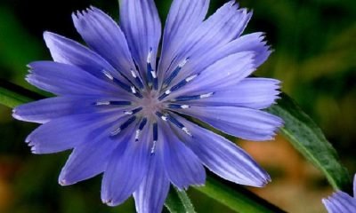 Sezgilerime değil, başkalarına inanırım diyenlerden misiniz?