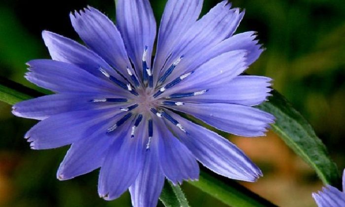 Sezgilerime değil, başkalarına inanırım diyenlerden misiniz?