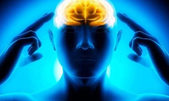 Beyni öldüren alışkanlıklar ve beyni sıfırlama
