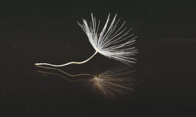 Türk işi Minimalizm!