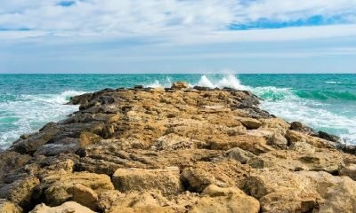 Ne kadar ham’sın?