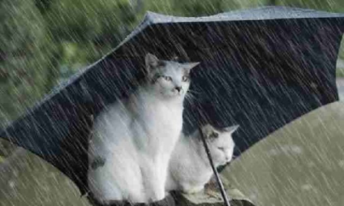 Son dakika: Market poşetine de zam geldi!