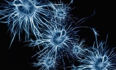Beyin Yıkama – Düşünce kontrol bilimi!