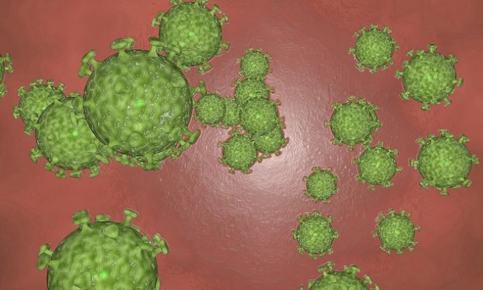 Corona’ya farklı bir bakış!