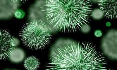 Çalışma hayatında virüsleri çoğaltmayın!