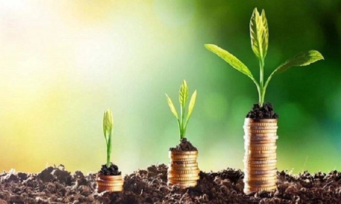 Para ve servet yaratmak!