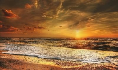 Yaşamda Altın mısın, yoksa Demir misin?